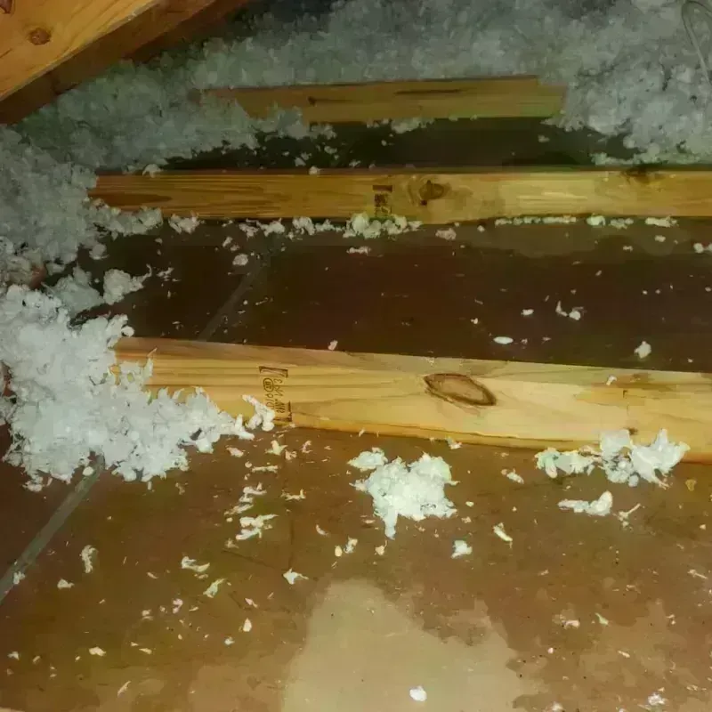 Attic Water Damage in Coal Grove, OH